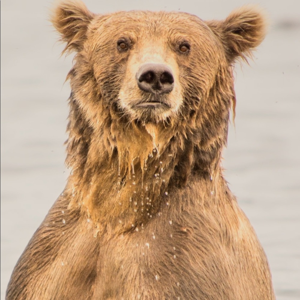 Meet your Posher, Roman